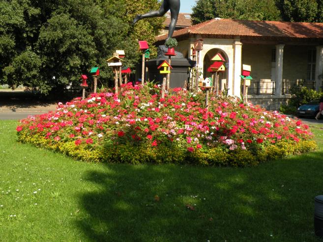  parterre fleuri